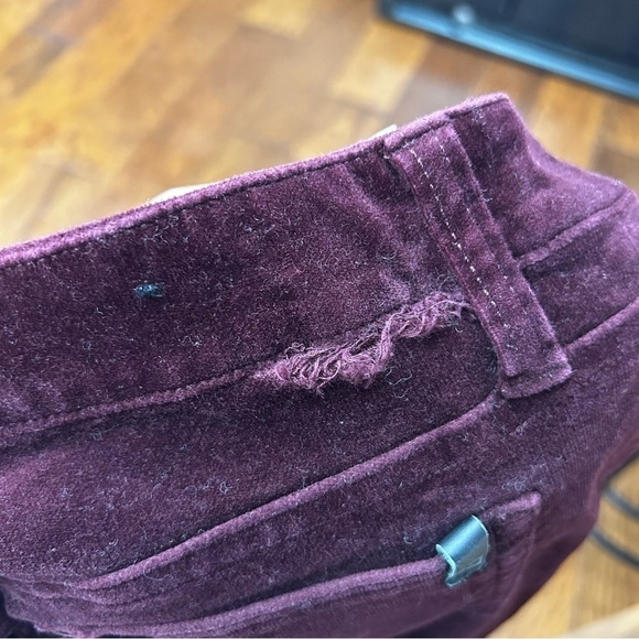 Joes jeans velvet ankle skinny pants - Picture 8 of 8
